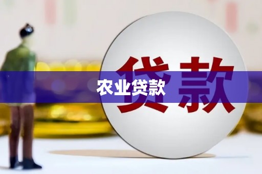 启东农业贷款