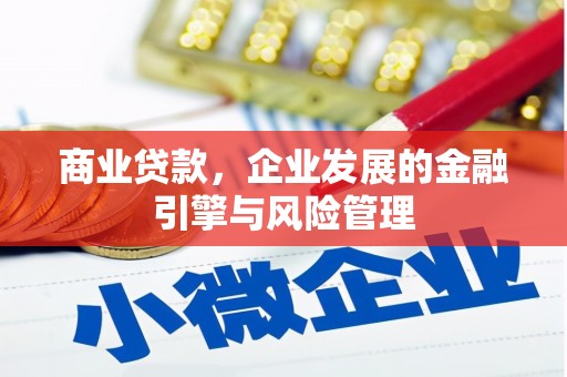 双溪商业贷款，企业发展的金融引擎与风险管理
