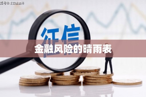 东乡族金融风险的晴雨表