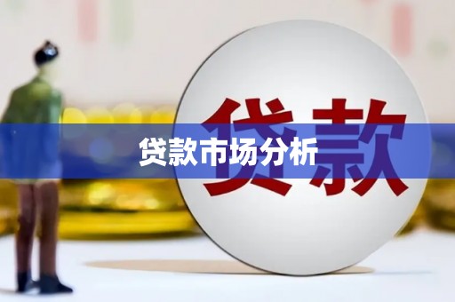 扶绥贷款市场分析