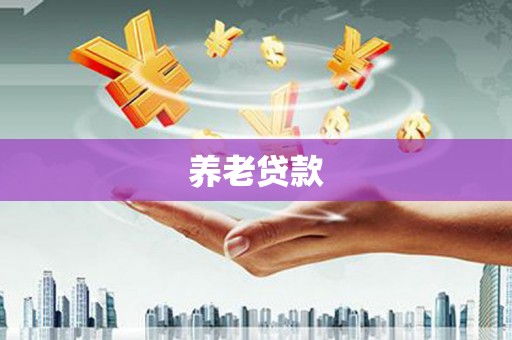 顺城养老贷款