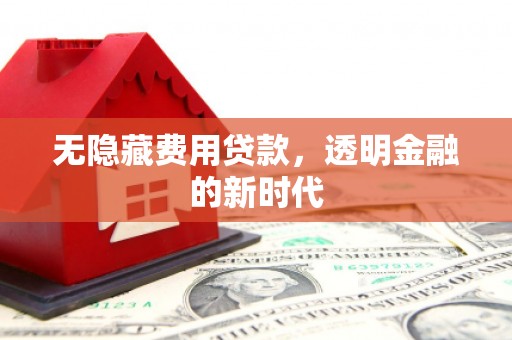 临沧无隐藏费用贷款，透明金融的新时代