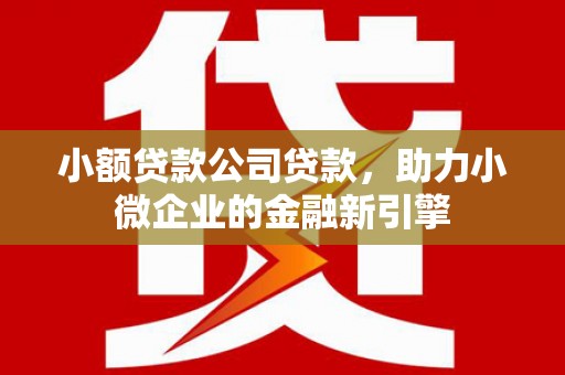 石冈小额贷款公司贷款，助力小微企业的金融新引擎