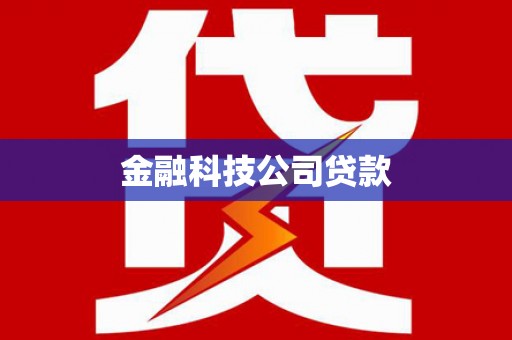思茅金融科技公司贷款
