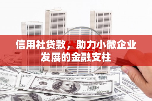 西和信用社贷款，助力小微企业发展的金融支柱