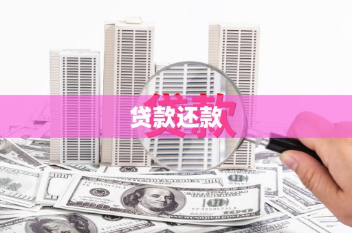 友谊贷款还款