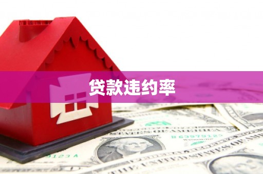 广水贷款违约率