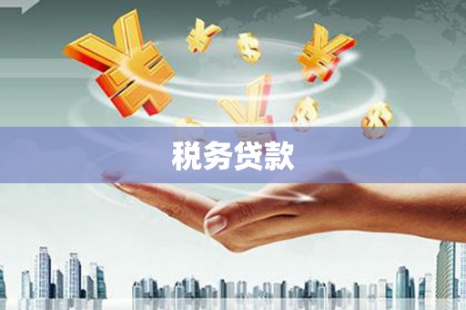 广东税务贷款