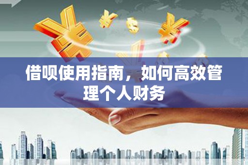 吉隆借呗使用指南，如何高效管理个人财务