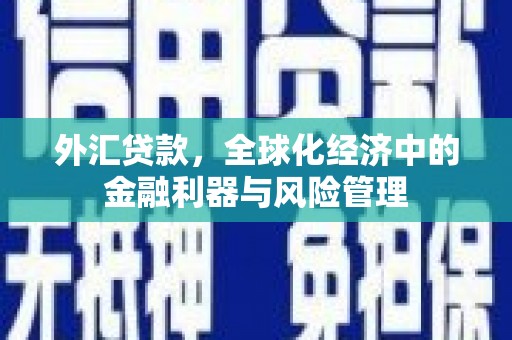 遂宁外汇贷款，全球化经济中的金融利器与风险管理
