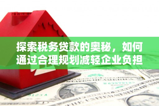 湖里探索税务贷款的奥秘，如何通过合理规划减轻企业负担