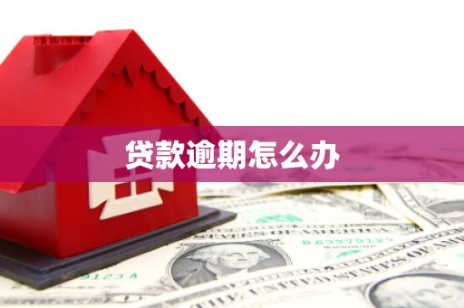 板桥贷款逾期怎么办