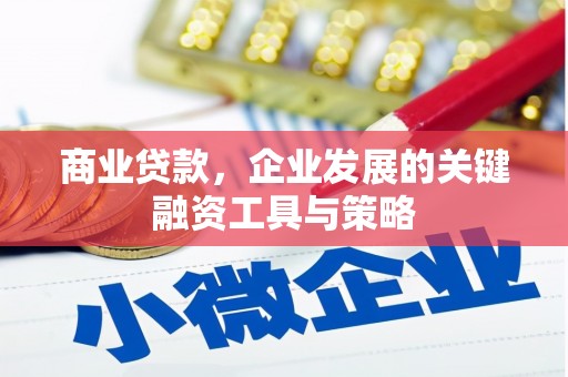 阳春商业贷款，企业发展的关键融资工具与策略
