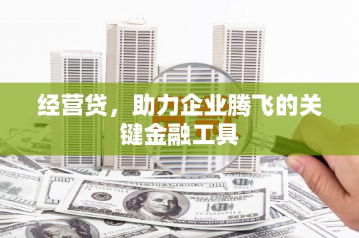 璧山经营贷，助力企业腾飞的关键金融工具
