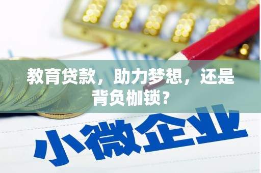 曲麻莱教育贷款，助力梦想，还是背负枷锁？