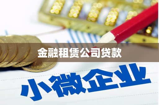 崖州金融租赁公司贷款