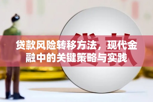 环江贷款风险转移方法，现代金融中的关键策略与实践