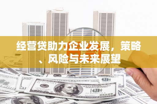 雁塔经营贷助力企业发展，策略、风险与未来展望
