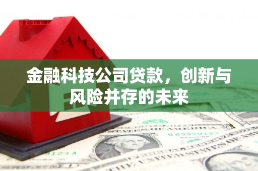 琼中金融科技公司贷款，创新与风险并存的未来