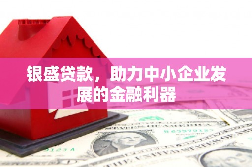 新林银盛贷款，助力中小企业发展的金融利器