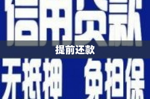 岑巩提前还款