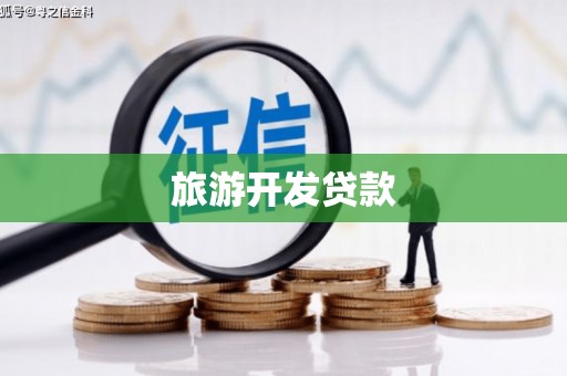 天等旅游开发贷款