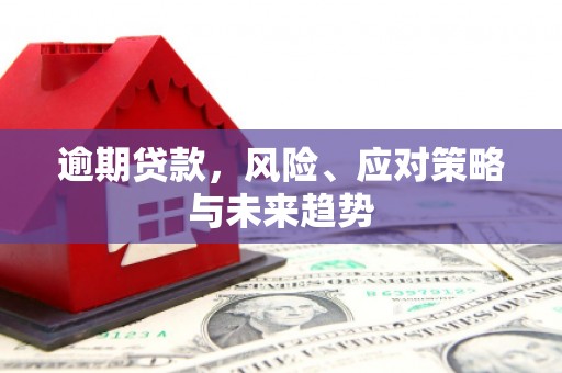 蒲江逾期贷款，风险、应对策略与未来趋势