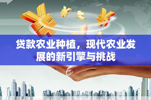 嘉黎贷款农业种植，现代农业发展的新引擎与挑战