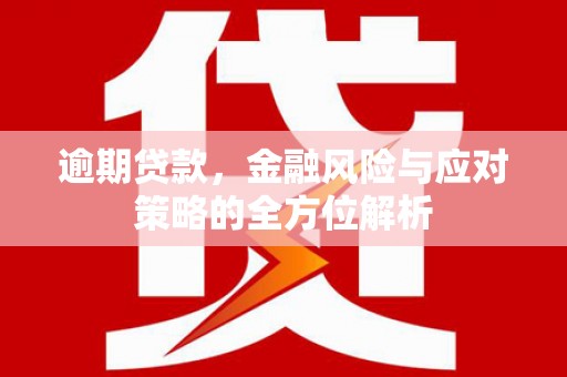 西林逾期贷款，金融风险与应对策略的全方位解析