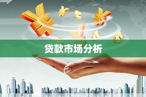 芦淞贷款市场分析