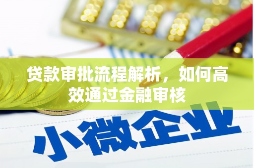丰原贷款审批流程解析，如何高效通过金融审核