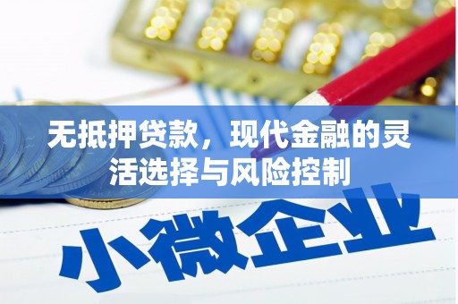 乐都无抵押贷款，现代金融的灵活选择与风险控制