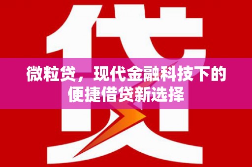 番路微粒贷，现代金融科技下的便捷借贷新选择