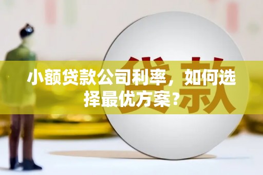 长岛小额贷款公司利率，如何选择最优方案？