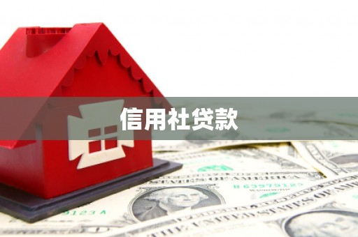 郸城信用社贷款