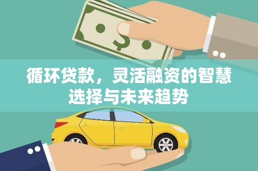 玉山循环贷款，灵活融资的智慧选择与未来趋势