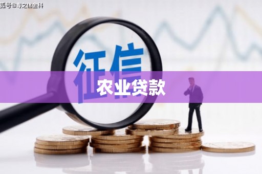 阿莲农业贷款