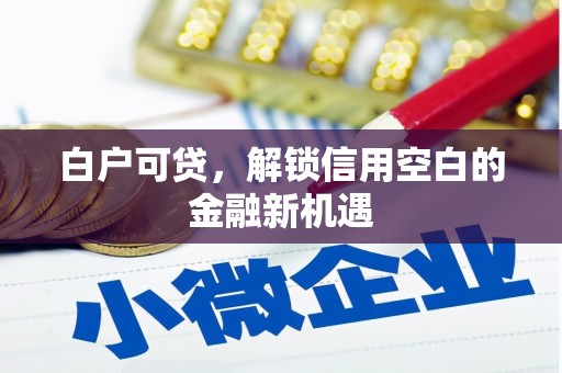 莿桐白户可贷，解锁信用空白的金融新机遇