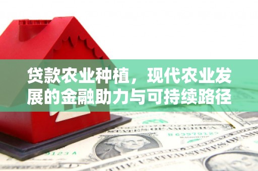 靖边贷款农业种植，现代农业发展的金融助力与可持续路径
