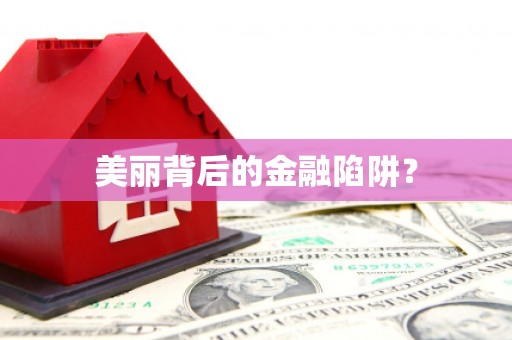 礼县美丽背后的金融陷阱？