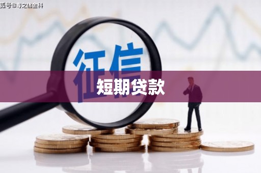 林芝短期贷款