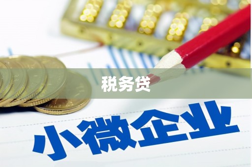 武川税务贷