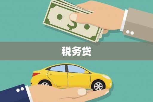 小港税务贷
