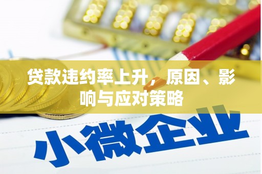 湟中贷款违约率上升，原因、影响与应对策略