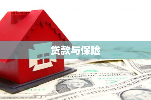 定安贷款与保险