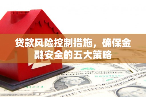 瑞穗贷款风险控制措施，确保金融安全的五大策略