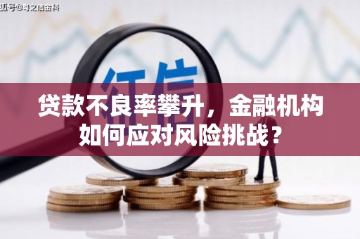 郁南贷款不良率攀升，金融机构如何应对风险挑战？