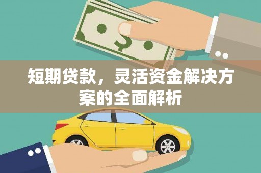 苑里短期贷款，灵活资金解决方案的全面解析