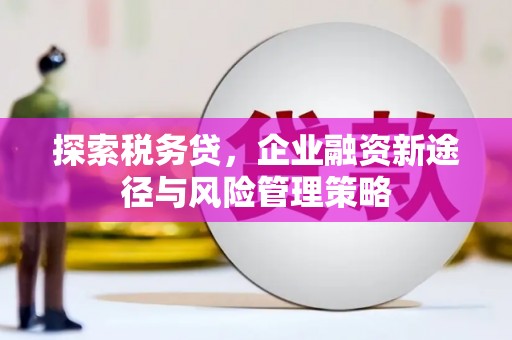 崇信探索税务贷，企业融资新途径与风险管理策略