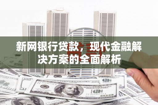 德清新网银行贷款，现代金融解决方案的全面解析